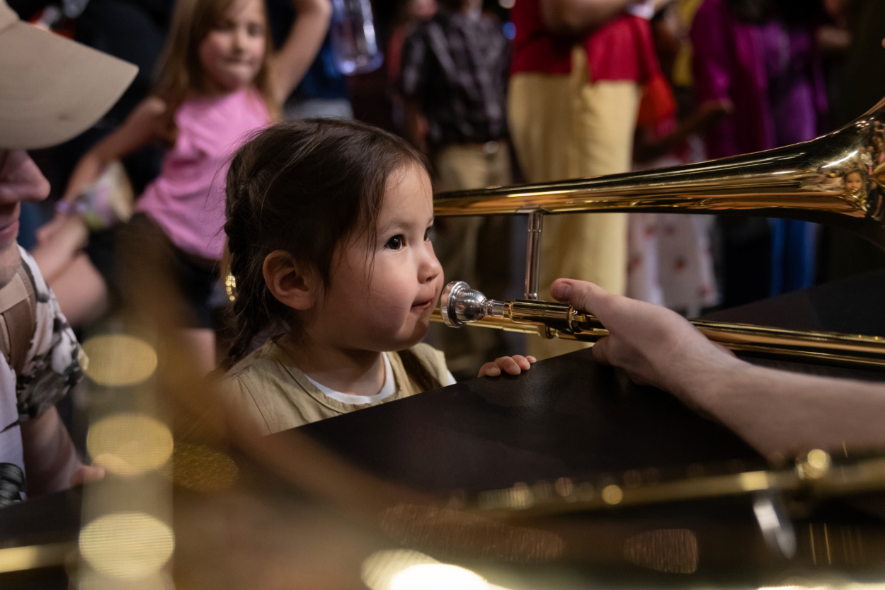 Image for "SOM - Instrument Petting Zoo"